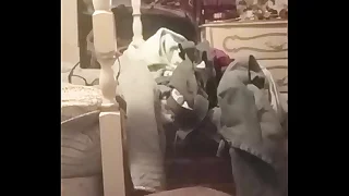 Using A Deodorant Can n A Coke Decanter To Dear one Myself In My Ass-Pussy